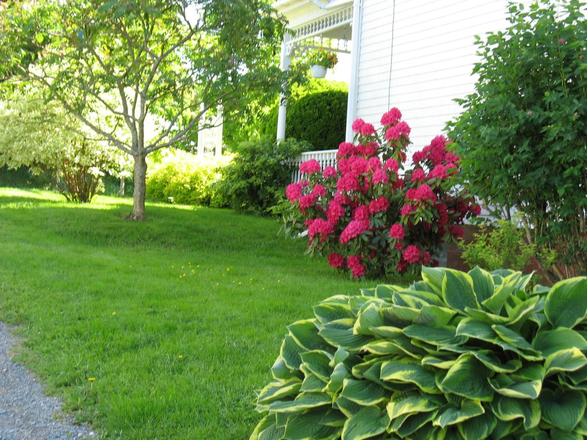 The Nelson House Bed And Breakfast Stewiacke Luaran gambar